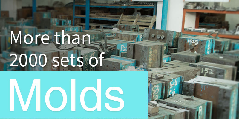 Accumulated more than 2000 sets of mold, deep research and development experience